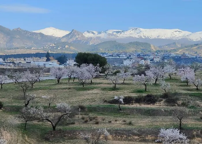 Villa Terracota, Lujo En Granada Y Sierra Nevada